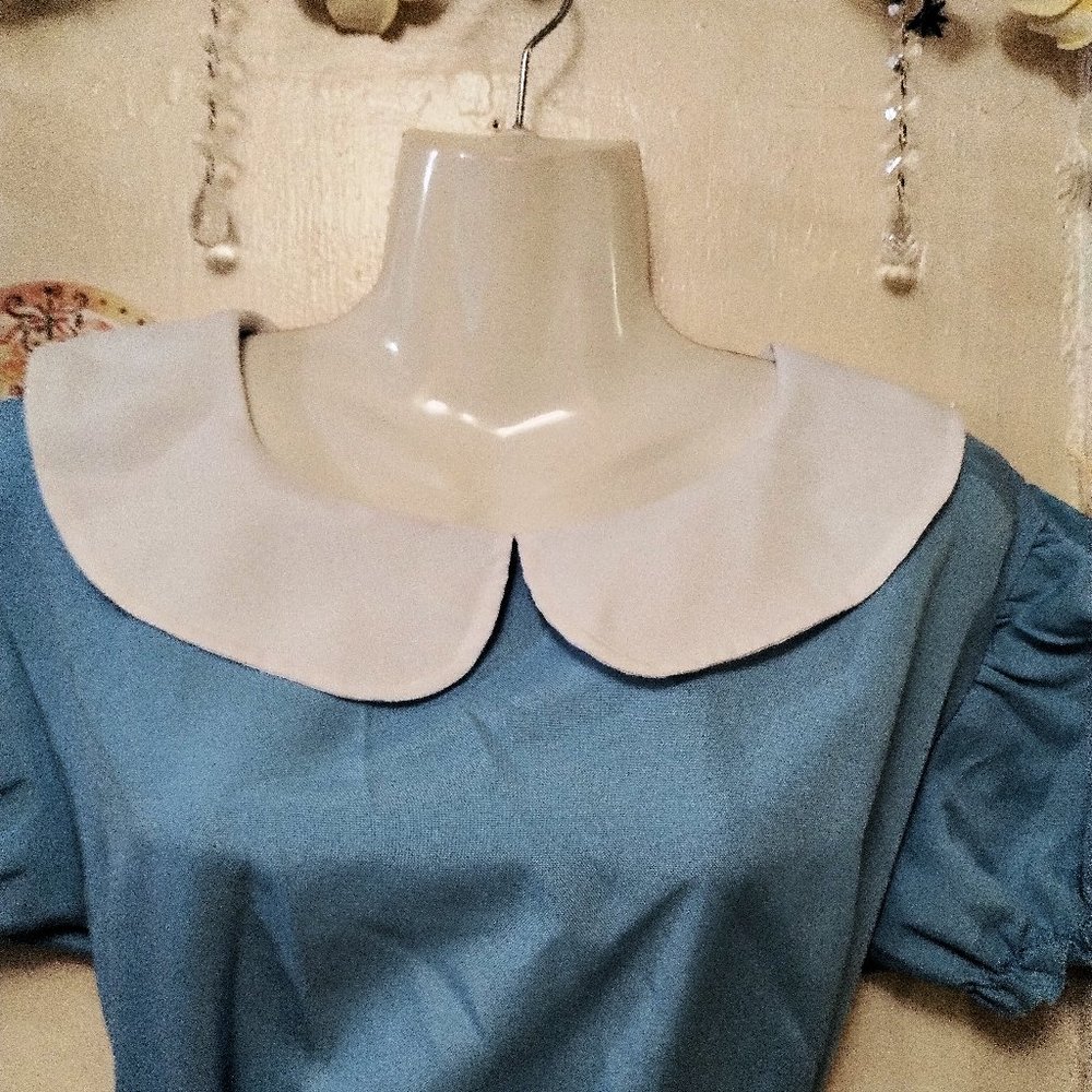 Fun Shack (M) French Maid in Blue with Apron - Picture 4 of 13